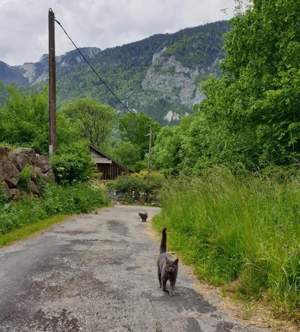 Le Chalet Du Biot Le Biot Экстерьер фото